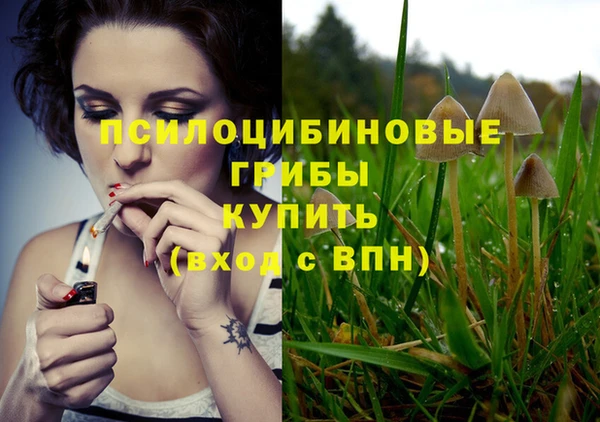 индика Остров