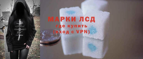 дмт Нея