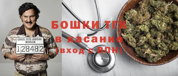 индика Остров