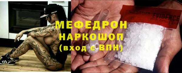 трава Няндома