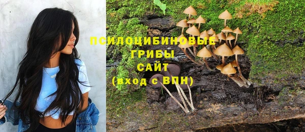 каннабис Осташков