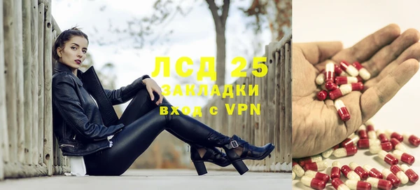 ПСИЛОЦИБИНОВЫЕ ГРИБЫ Костерёво